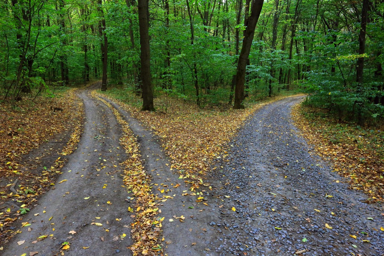 Debt Consolidation vs. Bankruptcy